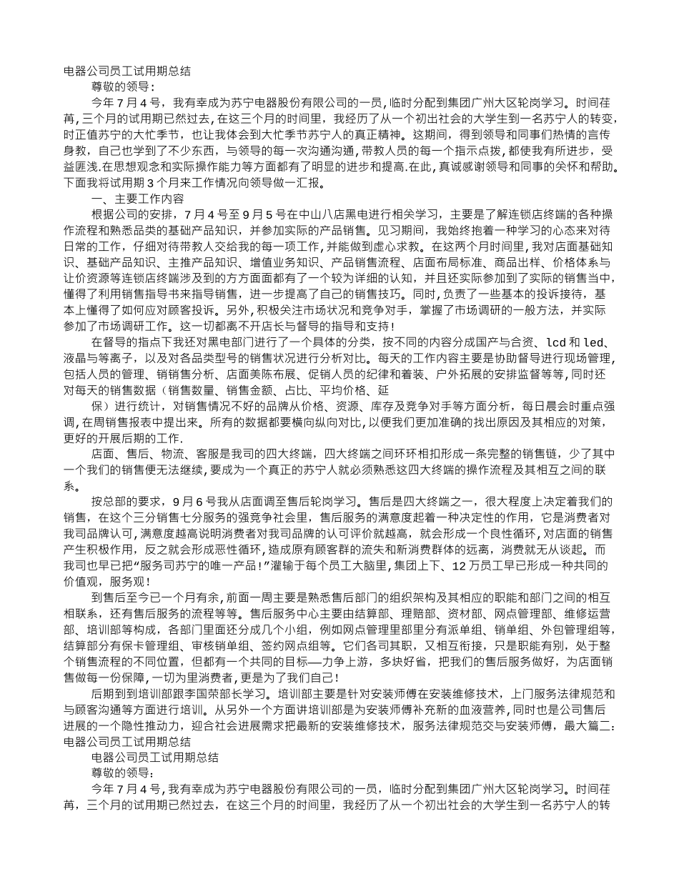 电器公司员工试用期总结_第1页