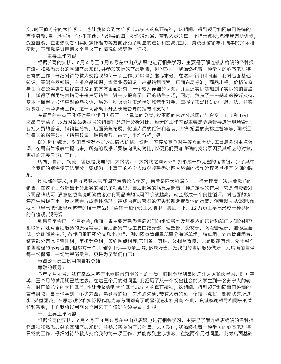 电器公司员工试用期总结_第2页