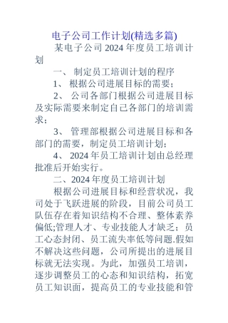 电子公司工作计划
