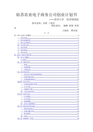 电子商务公司创业计划书