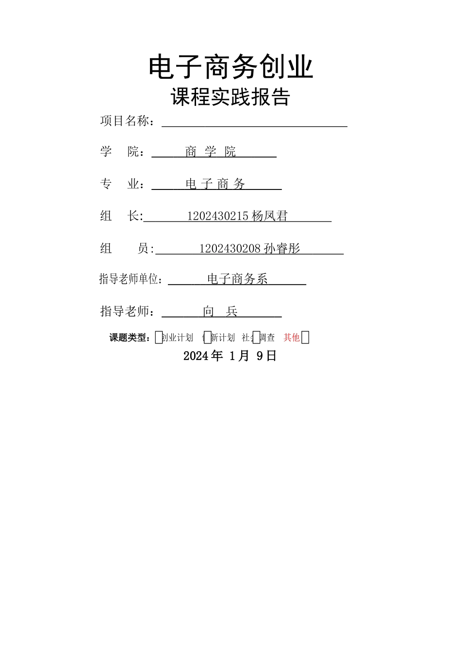 电子商务创业-实践报告_第1页