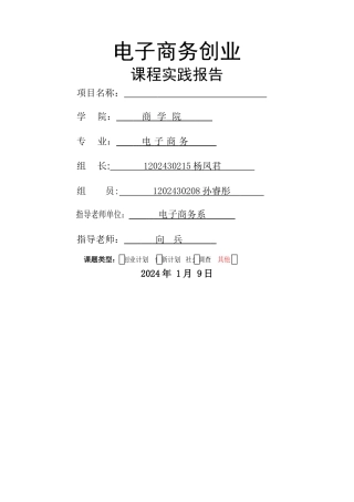 电子商务创业-实践报告