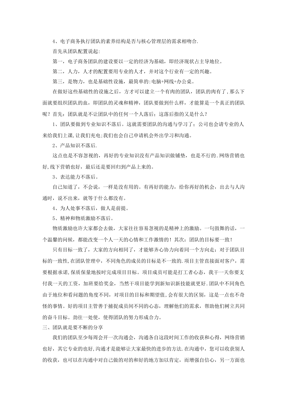 电子商务团队建设方案_第2页
