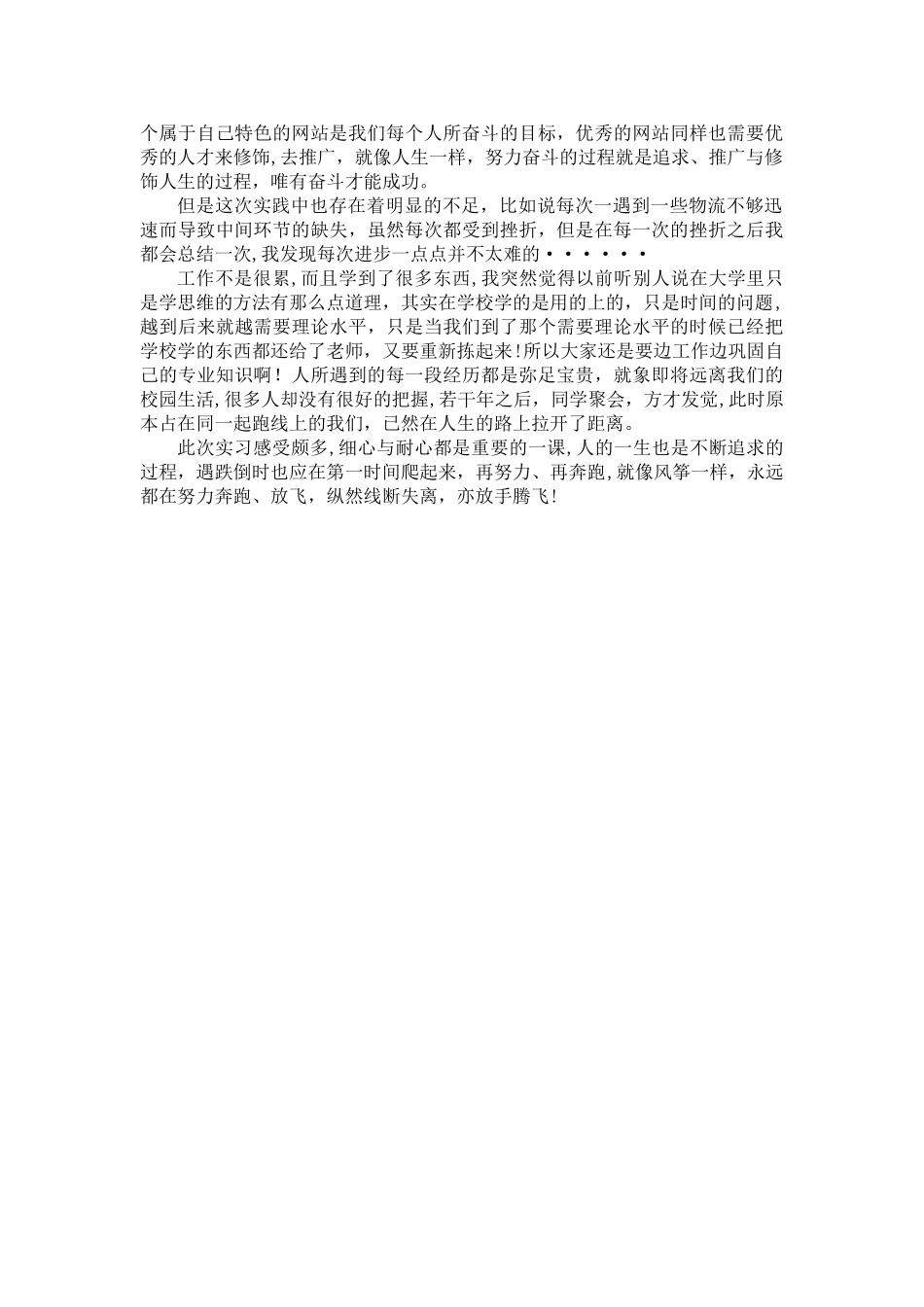 电子商务实习个人总结_第3页