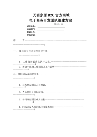 电子商务开发团队组建方案(DOC)