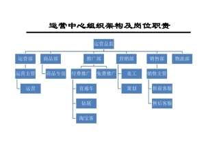 电子商务运营部企业组织结构及岗位职责