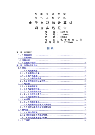 电子市场调查报告