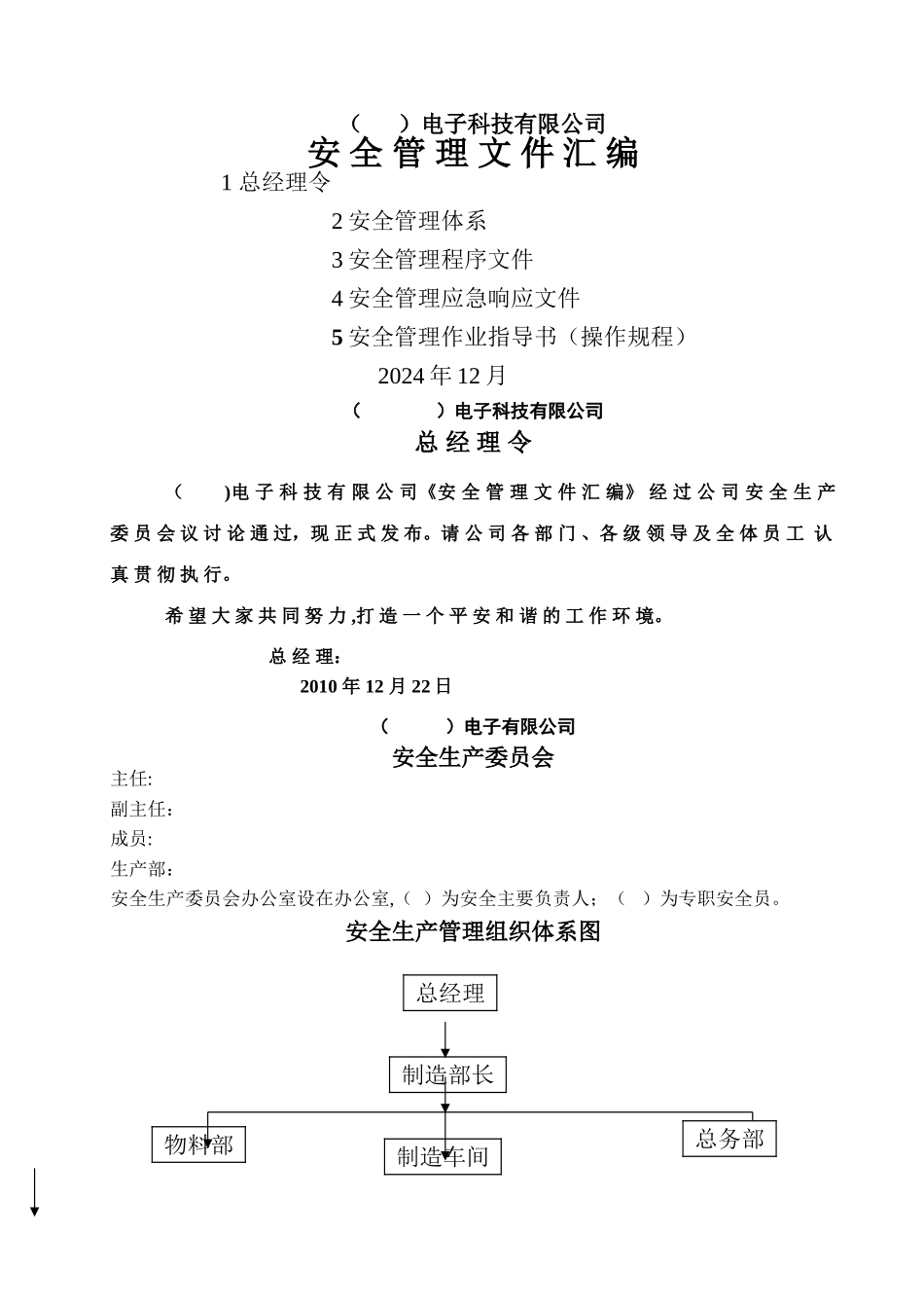 电子行业安全文件_第1页