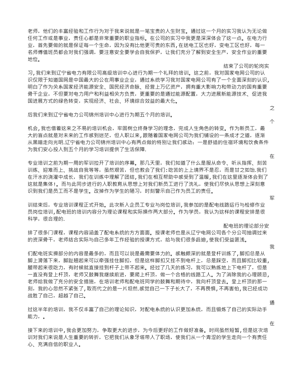 电工试用期转正申请书_第2页