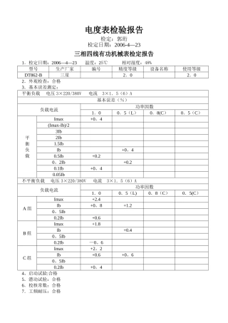 电度表检验报告格式
