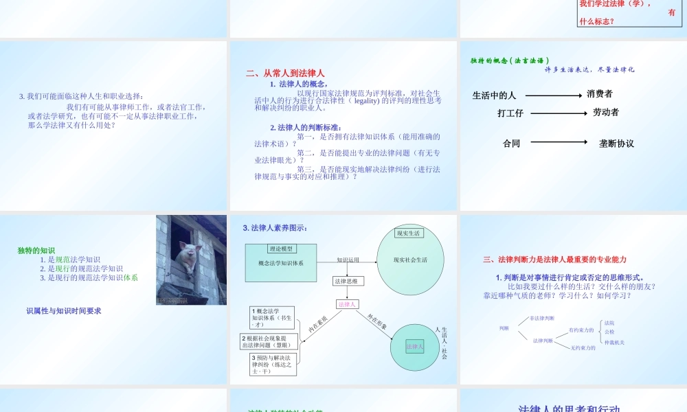 法律适用论授课课件PPT