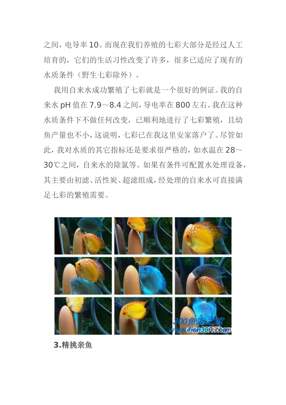 繁殖优秀七彩神仙鱼的技巧  生物技术专业_第2页