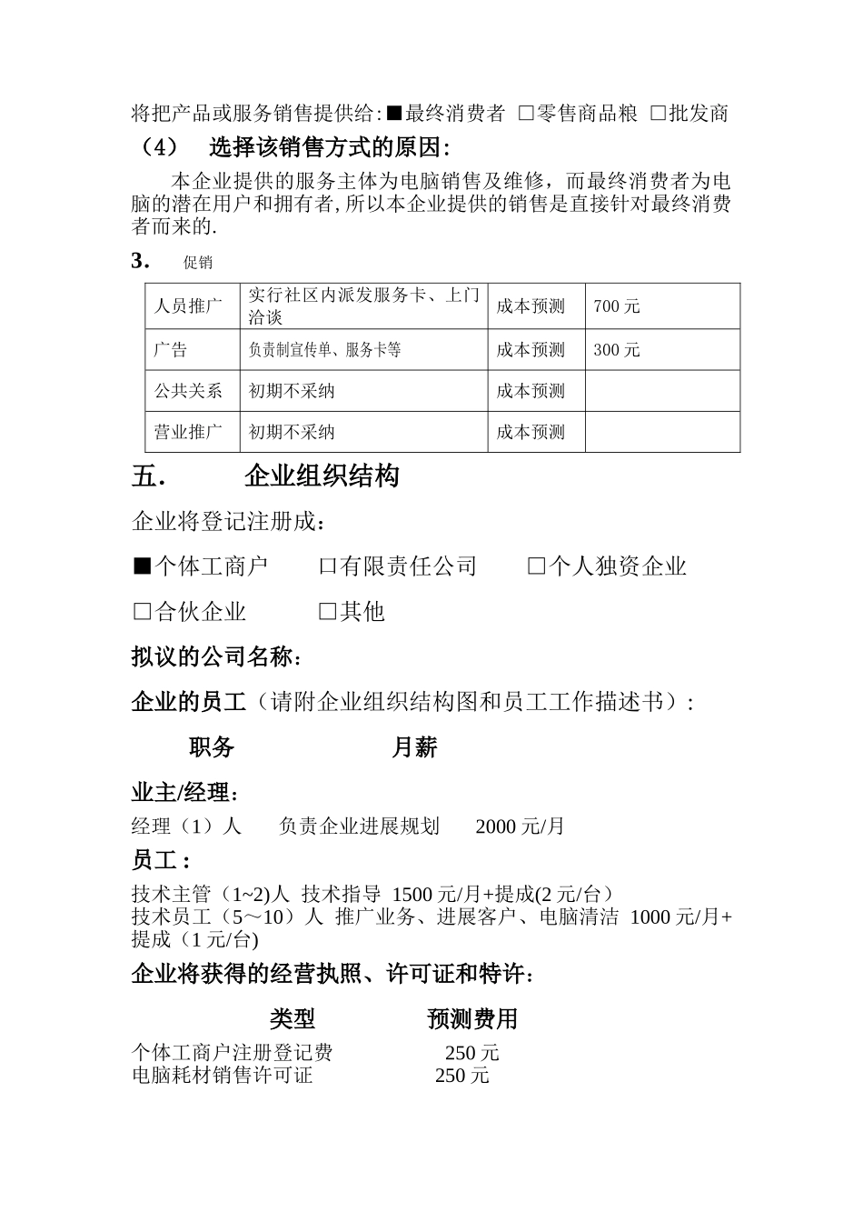 电脑公司创业计划书_第3页