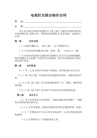 电视节目联合制作合同