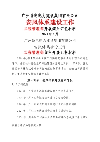 番电集团公司安风工作汇报