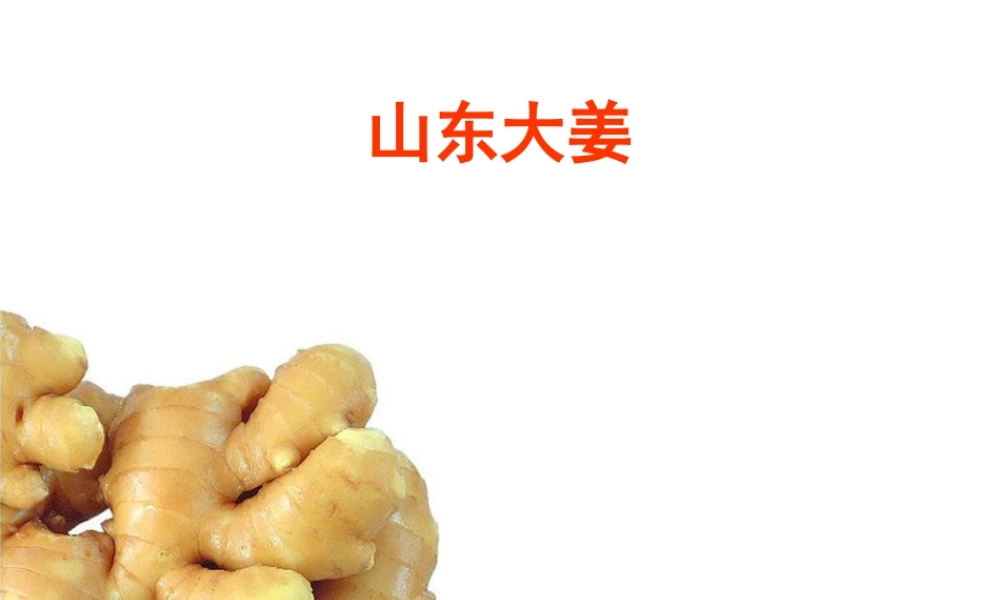 山东大姜分析研究