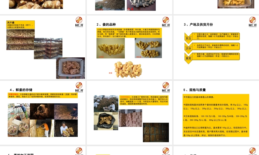 山东大姜分析研究