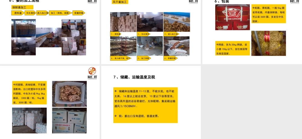 山东大姜分析研究