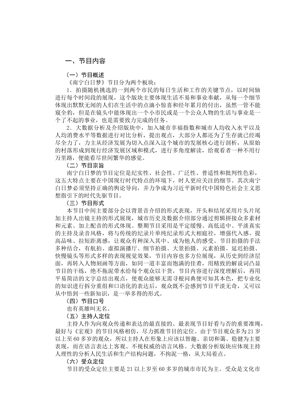 电视新闻类节目《南宁白日梦》 播音主持专业_第3页