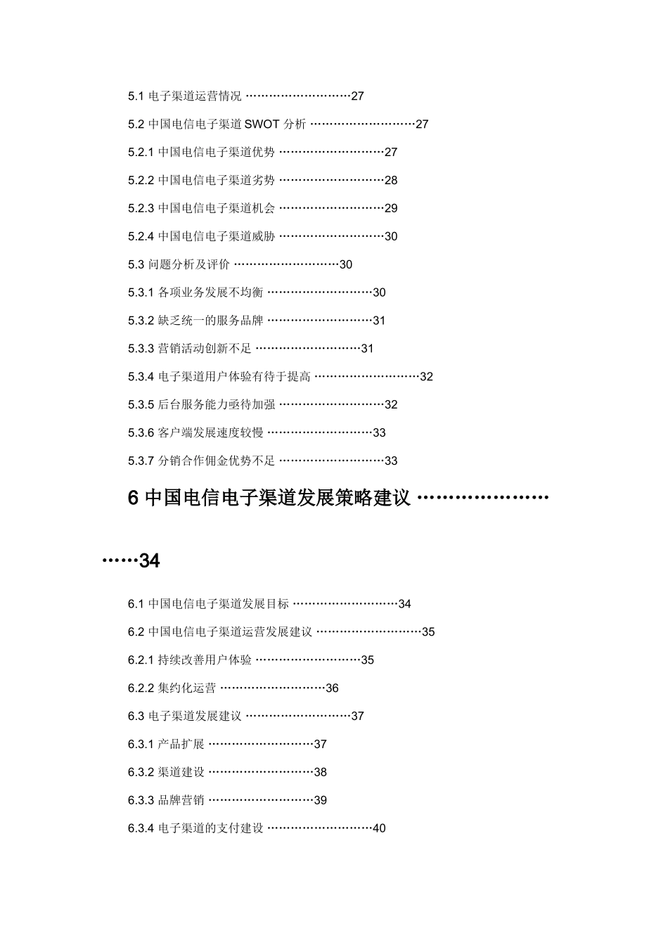 电子渠道现状分析研究  工商管理专业_第3页
