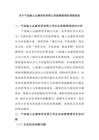 调查报告 关于宁波威士达康商贸有限公司战略管理的调查报告