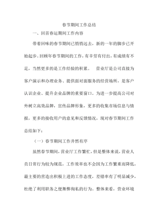 春节期间工作总结营业厅