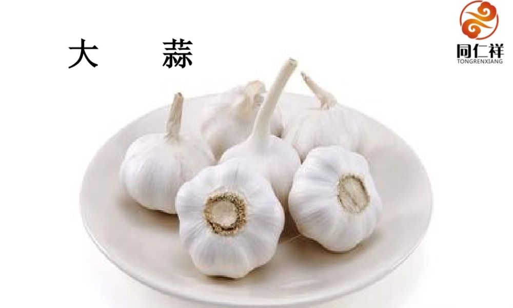 大蒜知识讲解PPT