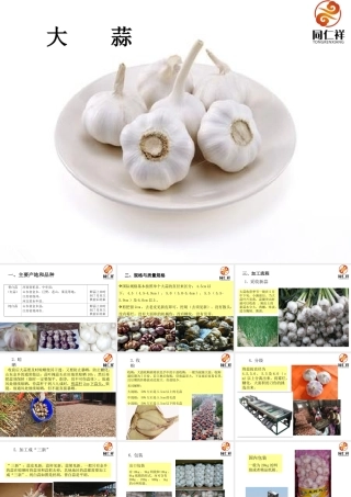 大蒜知识讲解PPT