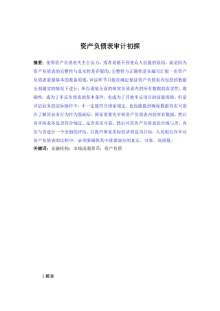 资产负债表审计初探