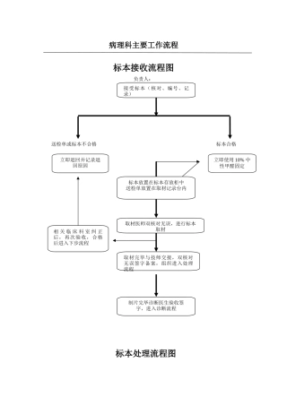 病理主要工作流程