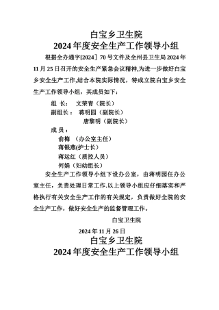白宝卫生院安全生产工作领导小组