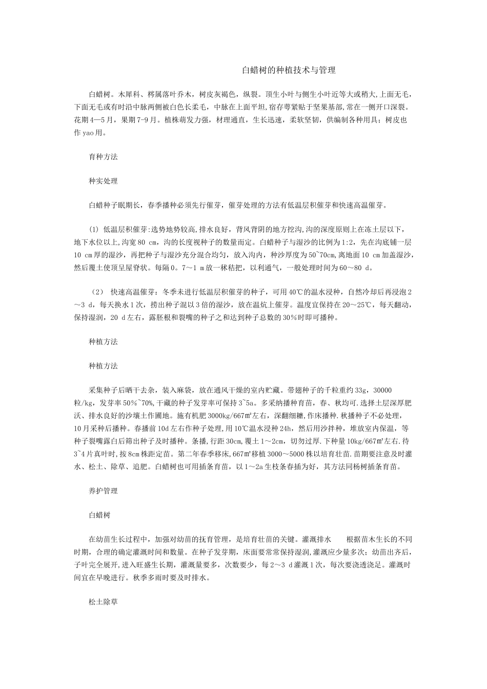 白蜡树的种植技术与管理_第1页