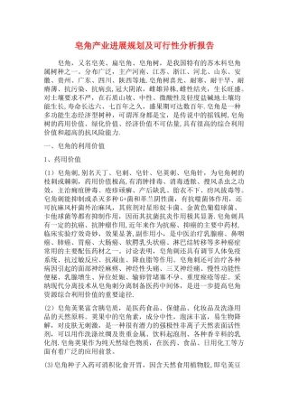 皂角产业发展规划及可行性分析报告