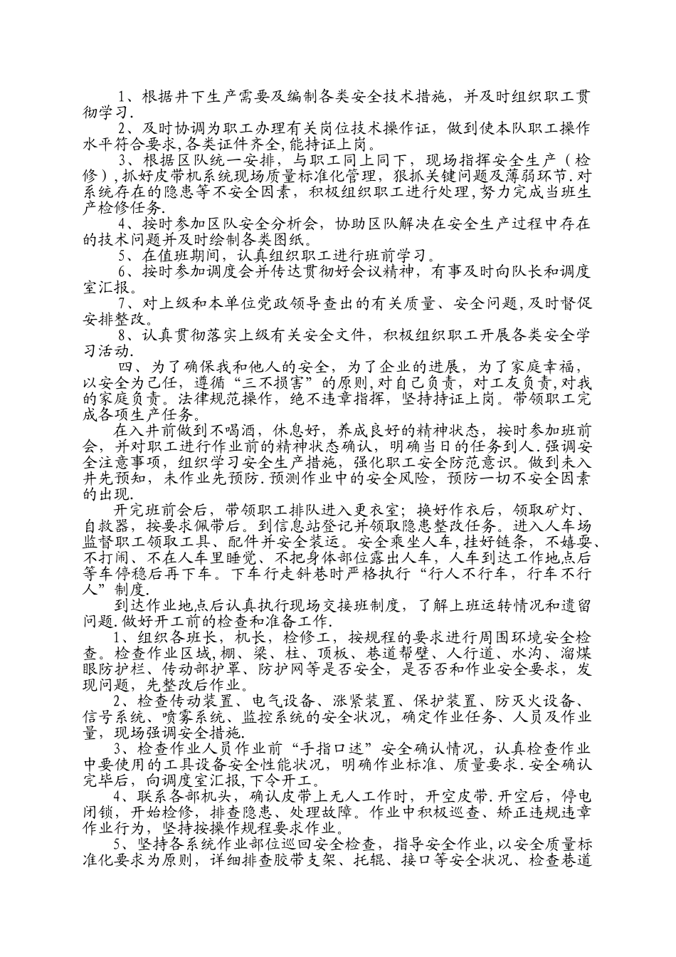 皮带队-双述-岗位描述_第1页