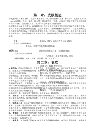 皮肤管理基础知识