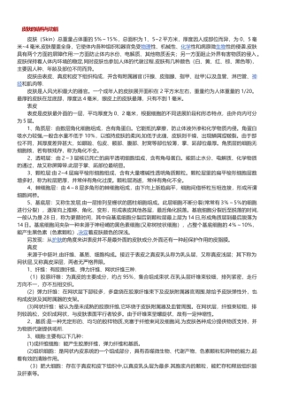 皮肤管理知识