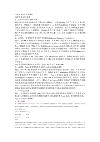 真核细胞常见表达载体