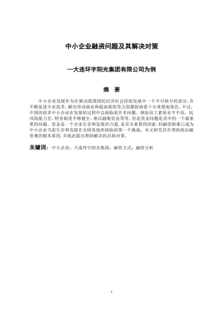 中小企业融资问题及其解决对策—以大连环宇阳光集团为例 会计财务管理专业