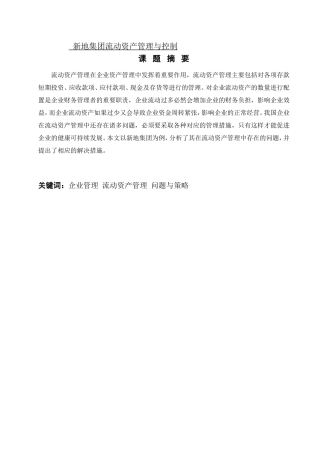 新地集团流动资产管理与控制