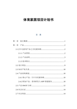 体育家居项目计划书