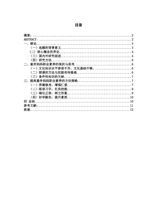 乡村教师职业素养研究 教育学
