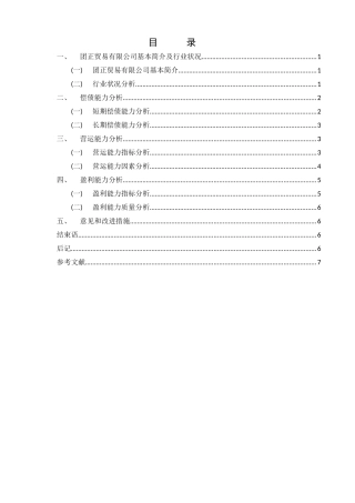 团正贸易有限公司财务报表报告财务报表报告