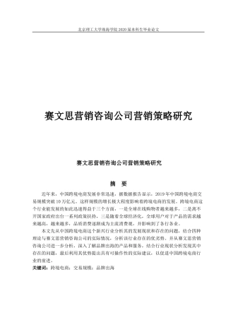 赛文思营销咨询公司营销策略研究