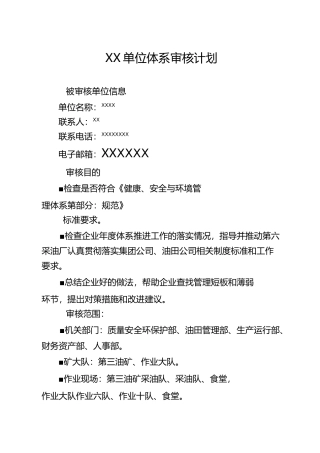 HSE审核计划示例