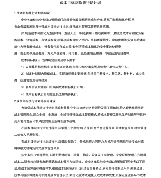 成本改善行动计划