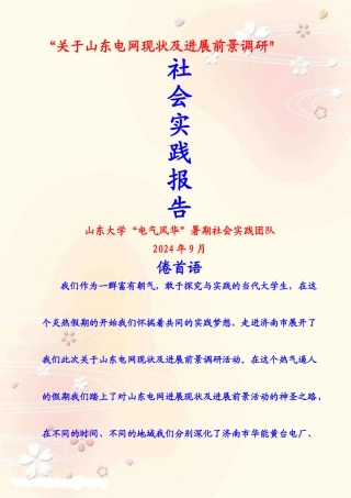 社会实践---山东电网现状及发展前景调研报告