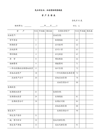 社会团体财务报表