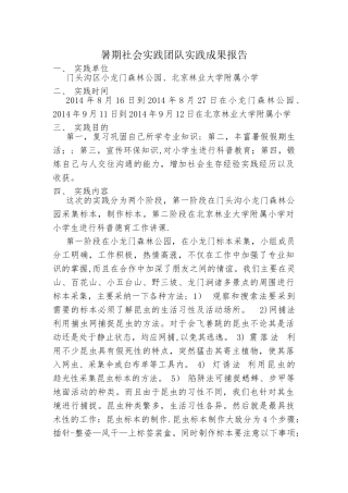 社会实践总结报告范文