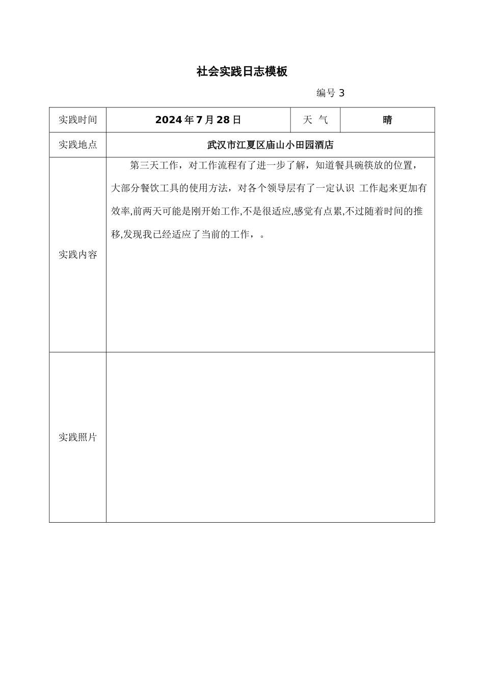 社会实践日志模板_第3页