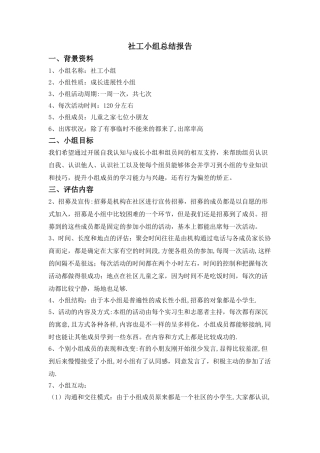 社工小组总结报告